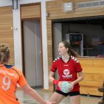 2017_01_08 Landesliga Frauen u. J19